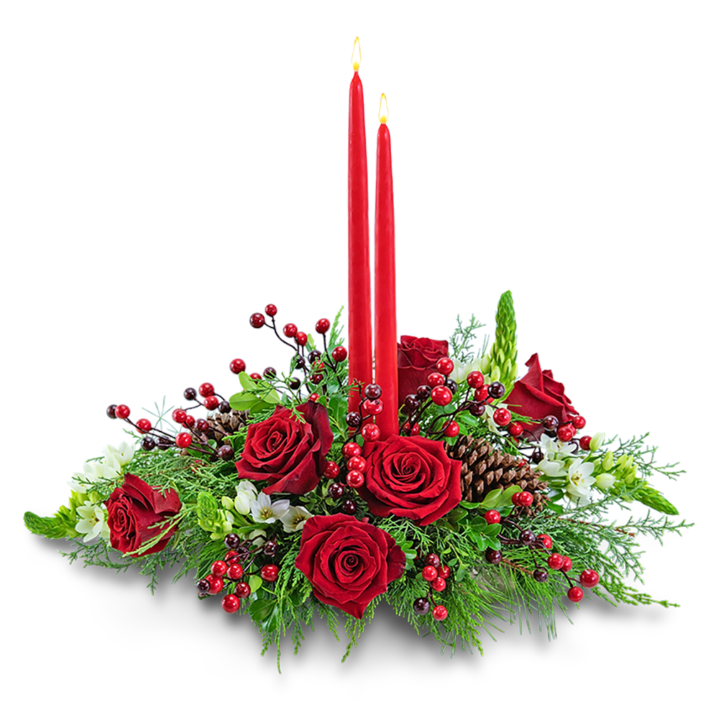 Home for the Holidays