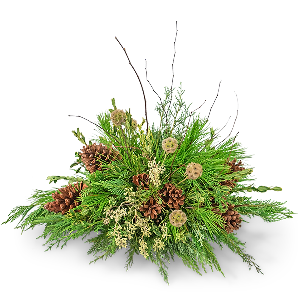 Evergreen Simplicity