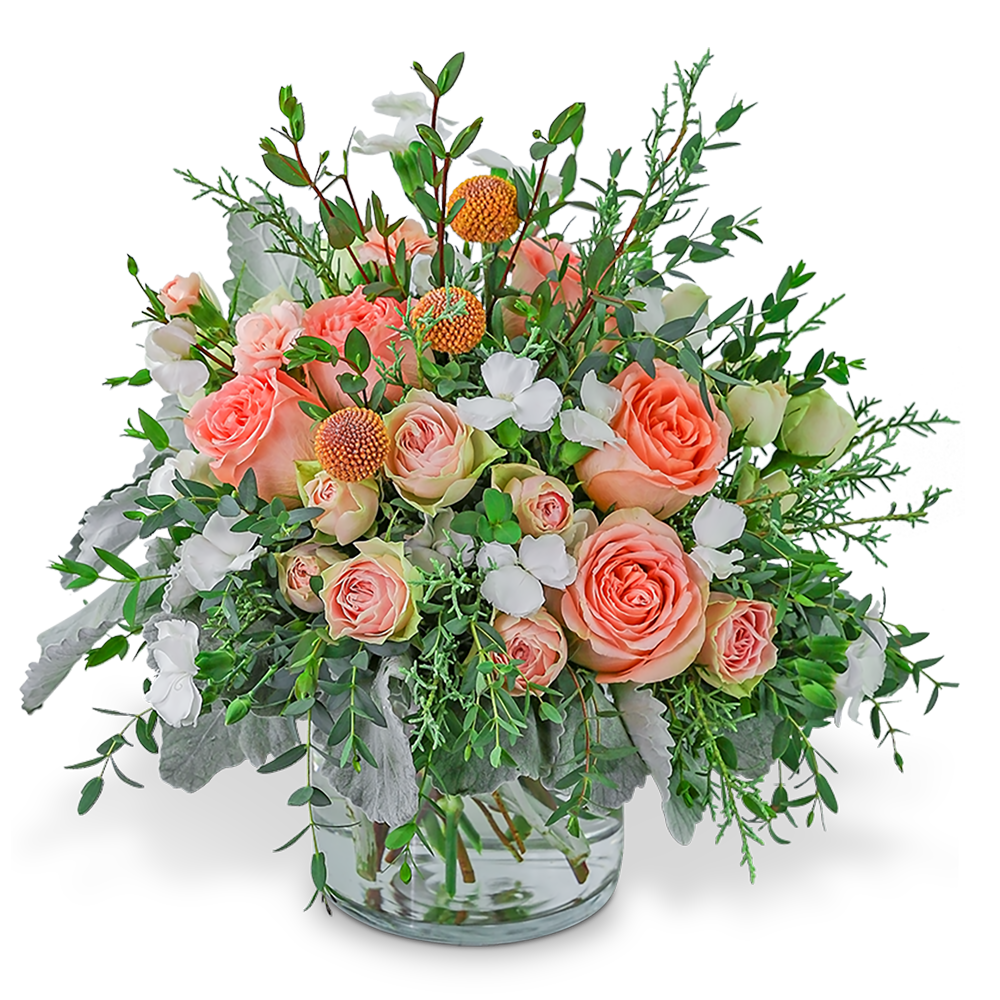 Whimsical Wintertime