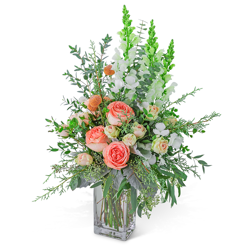 Whimsical Winter Wishes