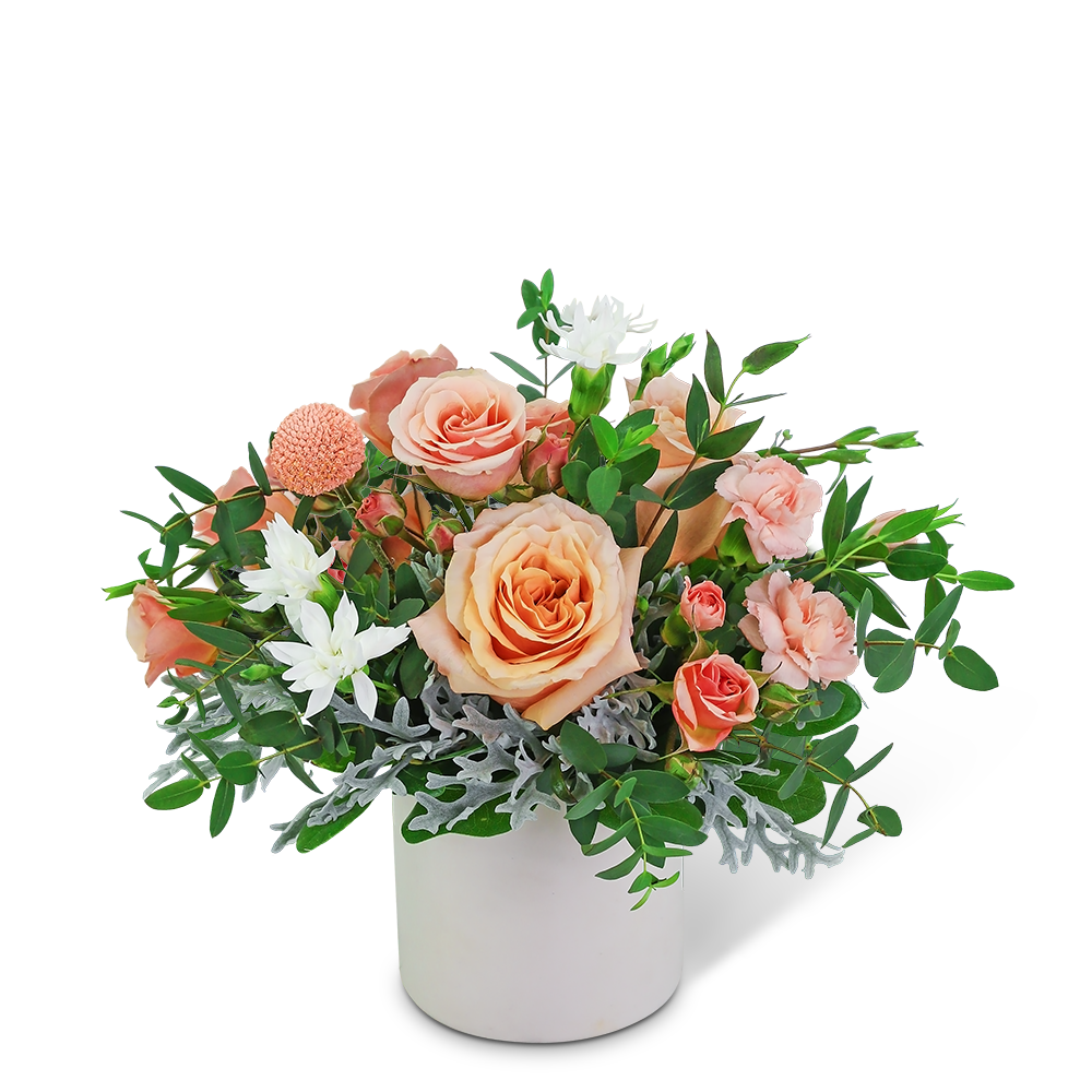 Waltz of the Blossoms