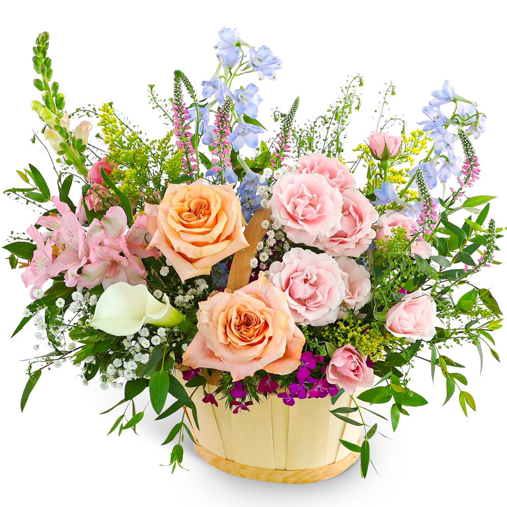 Botanical Bloom Basket