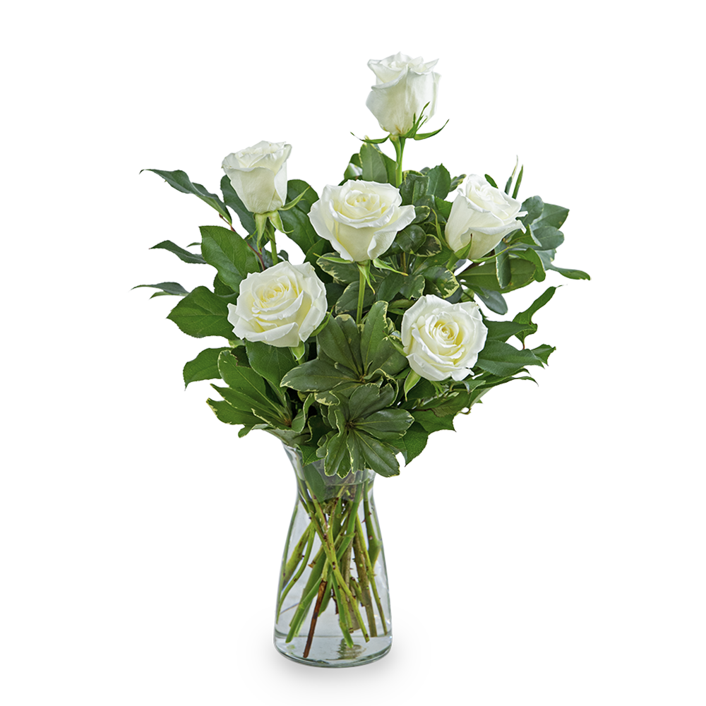 White Roses (6)