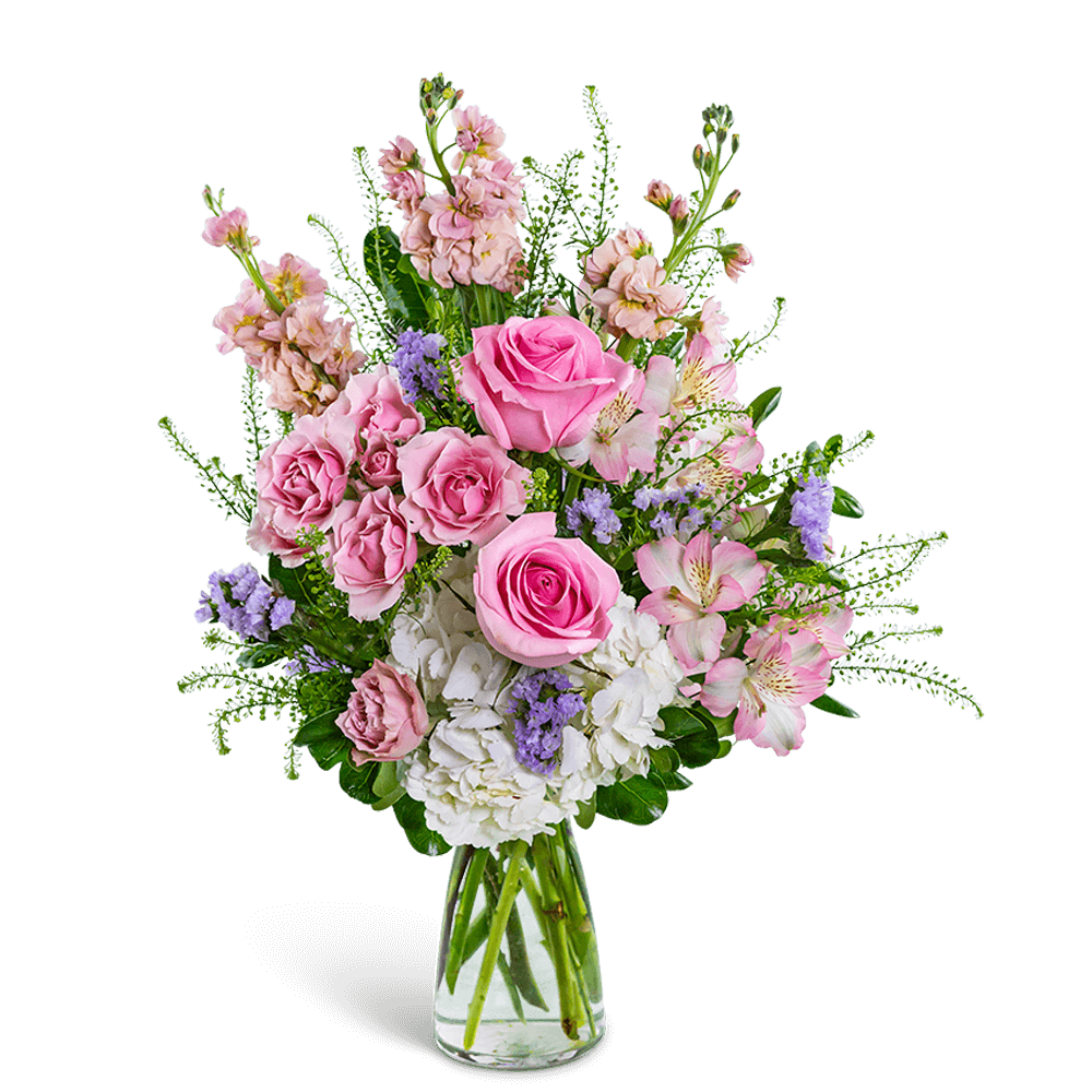 Cotton Candy Sweetie